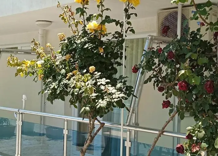 Апартаменты 41