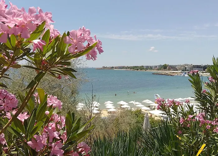 41 Апартаменты *